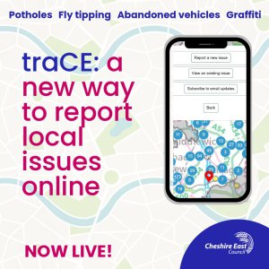 Trace
