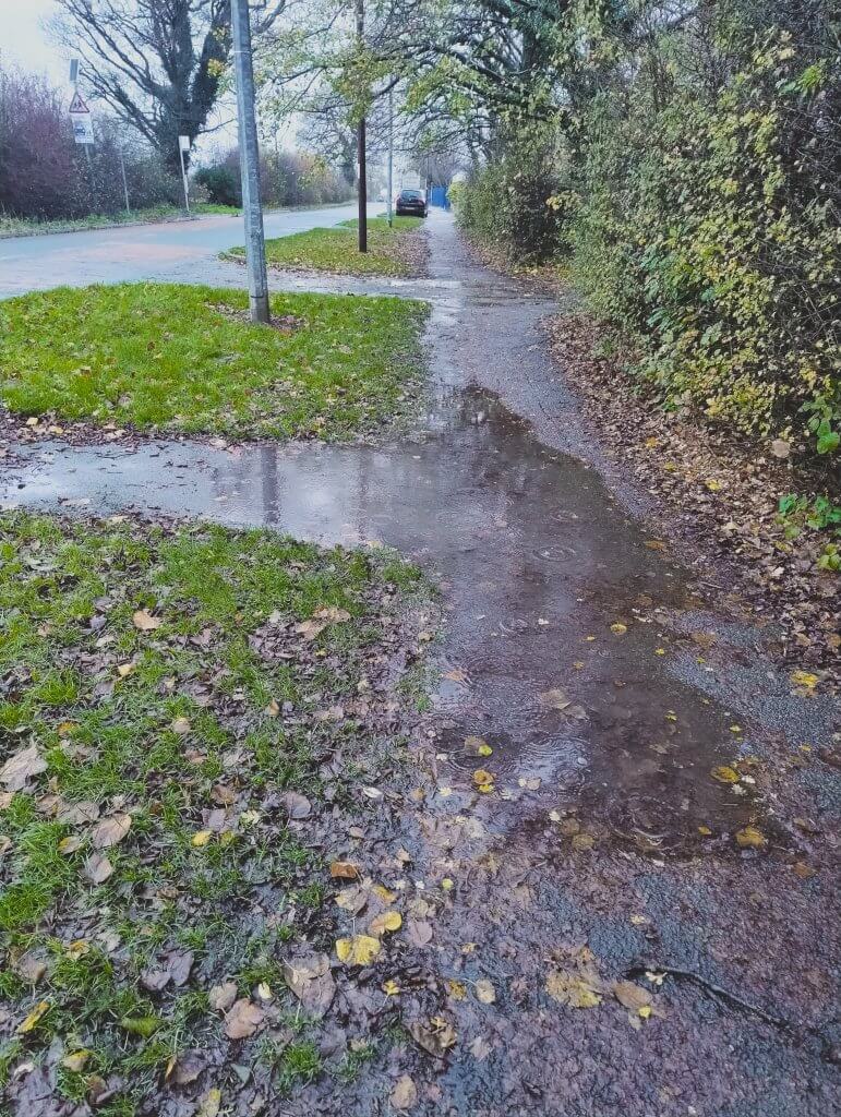 Img 20251114 125444779 hdr